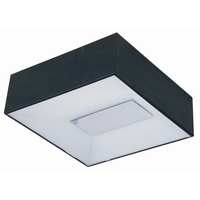 Flush Mount Ceiling Light 5-1/4" Width Flush Mount Ceiling Light 5-1/4" Width
