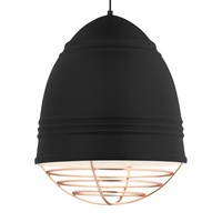 Down Light Pendant Down Light Pendant