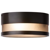 Ceiling Mounted Light 13-1/5" Width Ceiling Mounted Light 13-1/5" Width