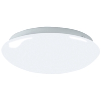 Flush Mount Ceiling Light 19" Width Flush Mount Ceiling Light 19" Width