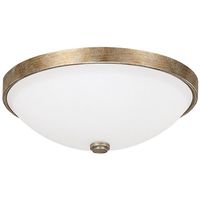 Flush Mount Ceiling Light 12-1/2" Width Flush Mount Ceiling Light 12-1/2" Width