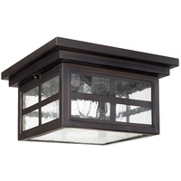 Ceiling Mounted Light 11-1/4" Width Ceiling Mounted Light 11-1/4" Width