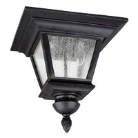 Ceiling Mounted Light 11-1/2" Width Ceiling Mounted Light 11-1/2" Width