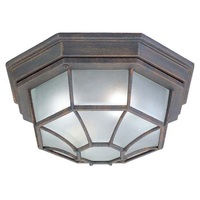 Ceiling Mounted Light 11" Width Ceiling Mounted Light 11" Width