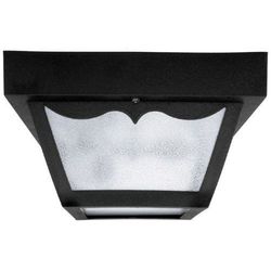 Ceiling Mounted Light 8" Width Ceiling Mounted Light 8" Width
