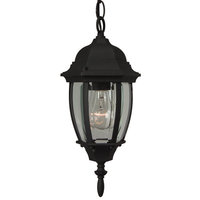 Hanging Lantern Hanging Lantern