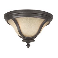 Ceiling Mounted Light 14" Width Ceiling Mounted Light 14" Width