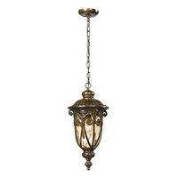 Hanging Lantern Hanging Lantern