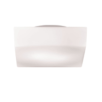 Flush Mount Ceiling Light 9-3/4" Width Flush Mount Ceiling Light 9-3/4" Width