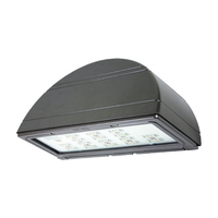 Outdoor Wall Light 9" Height Outdoor Wall Light 9" Height