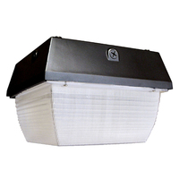 Ceiling Mounted Light 12-1/2" Width Ceiling Mounted Light 12-1/2" Width