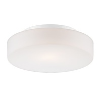 Flush Mount Ceiling Light 10-1/4" Width Flush Mount Ceiling Light 10-1/4" Width