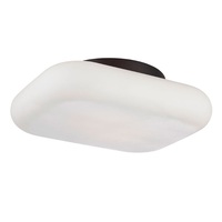 Flush Mount Ceiling Light 10-1/2" Width Flush Mount Ceiling Light 10-1/2" Width
