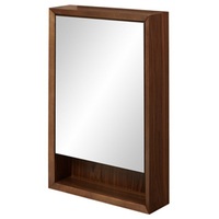 Swing Door Medicine Cabinet Swing Door Medicine Cabinet