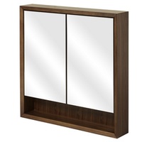 Swing Door Medicine Cabinet Swing Door Medicine Cabinet