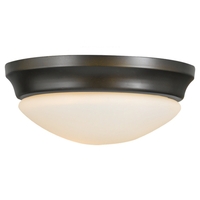 Flush Mount Ceiling Light Flush Mount Ceiling Light