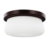 Ceiling Mounted Light Ceiling Mounted Light