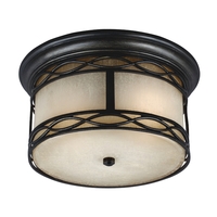 Ceiling Mounted Light Ceiling Mounted Light