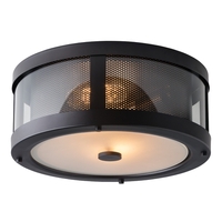 Ceiling Mounted Light 13-1/4" Width Ceiling Mounted Light 13-1/4" Width