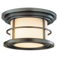 Ceiling Mounted Light Ceiling Mounted Light