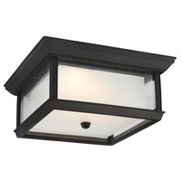 Ceiling Mounted Light 13" Width Ceiling Mounted Light 13" Width