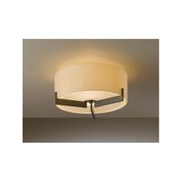 Flush Mount Ceiling Light 12-1/10" Width Flush Mount Ceiling Light 12-1/10" Width