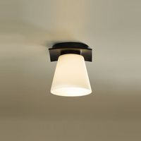 Flush Mount Ceiling Light 5-1/2" Width Flush Mount Ceiling Light 5-1/2" Width