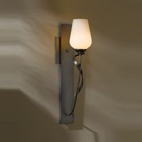1 Bulb Wall Sconce 1 Bulb Wall Sconce