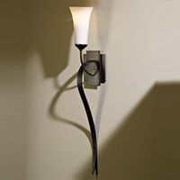 1 Bulb Wall Sconce 1 Bulb Wall Sconce