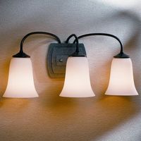 Wall Sconce (Multi Bulb) Wall Sconce (Multi Bulb)