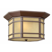 Ceiling Mounted Light 12" Width Ceiling Mounted Light 12" Width