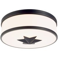 Flush Mount Ceiling Light 14-1/2" Width Flush Mount Ceiling Light 14-1/2" Width