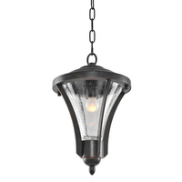 Hanging Lantern Hanging Lantern