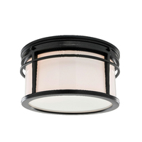 Ceiling Mounted Light Ceiling Mounted Light