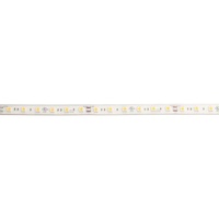 Path Lighting Path Lighting