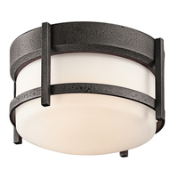 Ceiling Mounted Light 9-3/4" Width Ceiling Mounted Light 9-3/4" Width