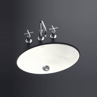 Undermount Bathroom Sink 24 x 18 x 8-5/8 Undermount Bathroom Sink 24 x 18 x 8-5/8