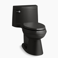 One Piece Toilet Elongated bowl One Piece Toilet Elongated bowl