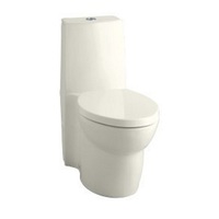 One Piece Toilet Elongated bowl One Piece Toilet Elongated bowl