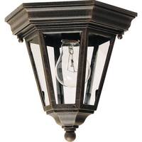 Ceiling Mounted Light 9" Width Ceiling Mounted Light 9" Width