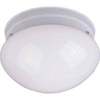 Flush Mount Ceiling Light 7-1/2" Width Flush Mount Ceiling Light 7-1/2" Width