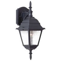 Outdoor Wall Light 16-1/2" Height Outdoor Wall Light 16-1/2" Height