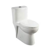 One Piece Toilet Elongated bowl One Piece Toilet Elongated bowl