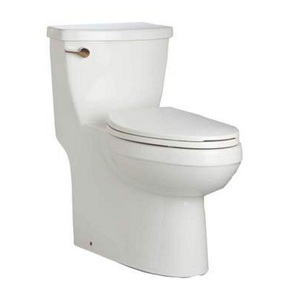 MIRBD241ASWH Bradenton One Piece Toilet - White MIRBD241ASWH Bradenton One Piece Toilet - White