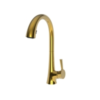 Pull-Out Spray Kitchen Faucet Single Hole Pull-Out Spray Kitchen Faucet Single Hole