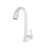 Pull-Out Spray Kitchen Faucet Single Hole Pull-Out Spray Kitchen Faucet Single Hole