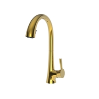 Pull-Out Spray Kitchen Faucet Single Hole Pull-Out Spray Kitchen Faucet Single Hole