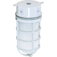 Ceiling Mounted Light 4-1/4" Width Ceiling Mounted Light 4-1/4" Width