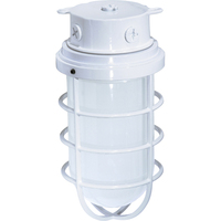 Ceiling Mounted Light 5-1/2" Width Ceiling Mounted Light 5-1/2" Width