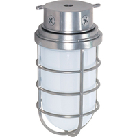 Ceiling Mounted Light 5-1/2" Width Ceiling Mounted Light 5-1/2" Width